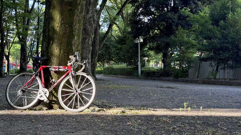自転車にも、乗り降りしやすいタイプとスポーティなタイプがある