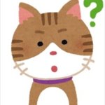 シンテーゼ16、17の違い