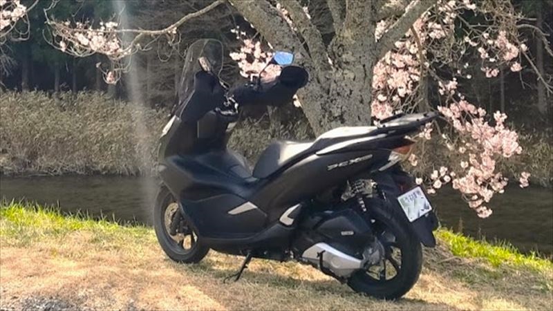 バイクと桜の写真をキレイに取るコツ！【構図の取り方】