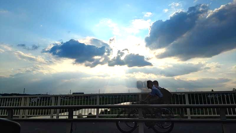 優れているのではなく、環境に適応してるだけ