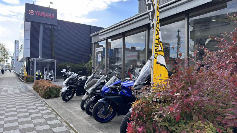 新車で買える足つきのいいバイク　まとめ