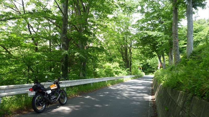 バイクを置ける場所が無いのだ