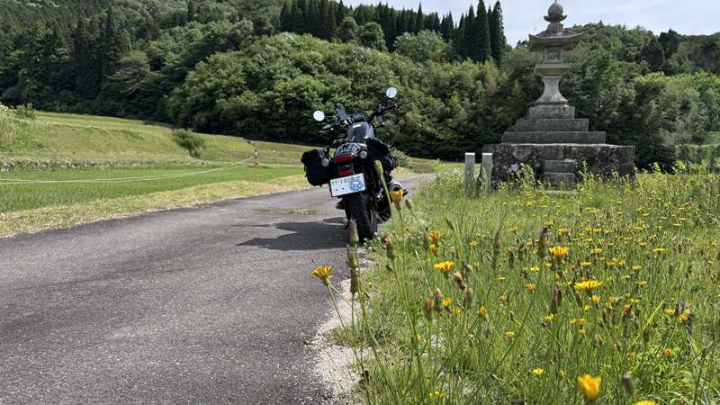 なぜ、レブル250にはバイアスタイヤしか無いの？