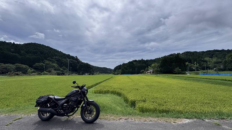 初心者向けのバイク