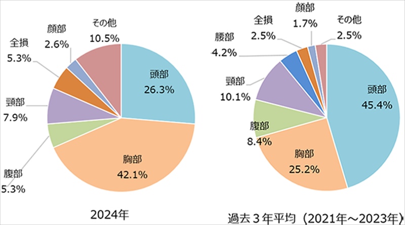 最低限、ヘルメットと胸部プロテクタをしてれば、逝かずに済むから
