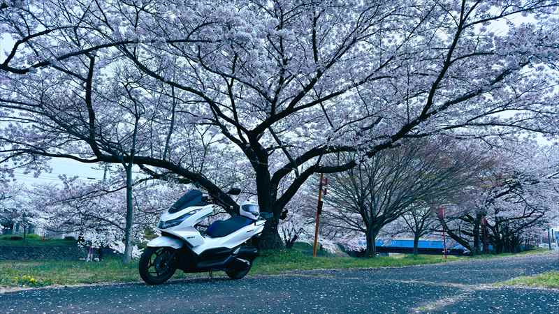 冬にバイクを売るのは損なのか？　まとめ