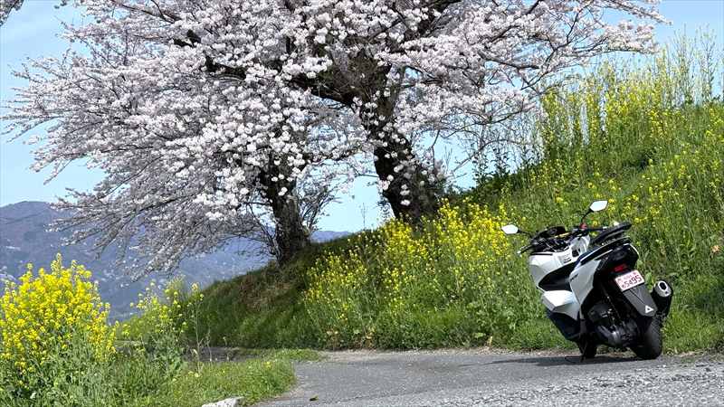 ハクキンカイロの仕組みと使い方！　まとめ