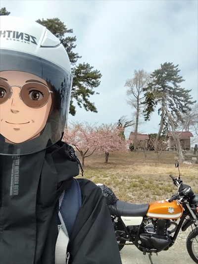 あおいしか