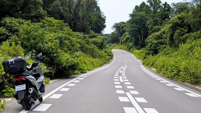 バカなバイク乗りが少数派なのは間違いない　まとめ