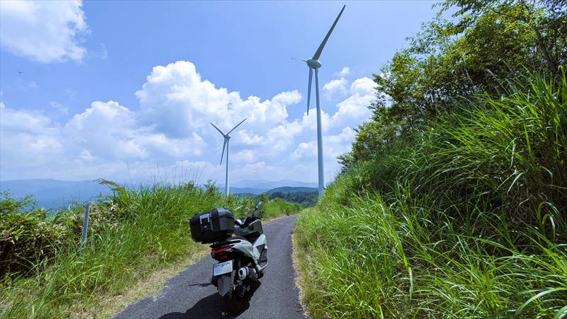 バカなバイク乗りが少数派なのは間違いない